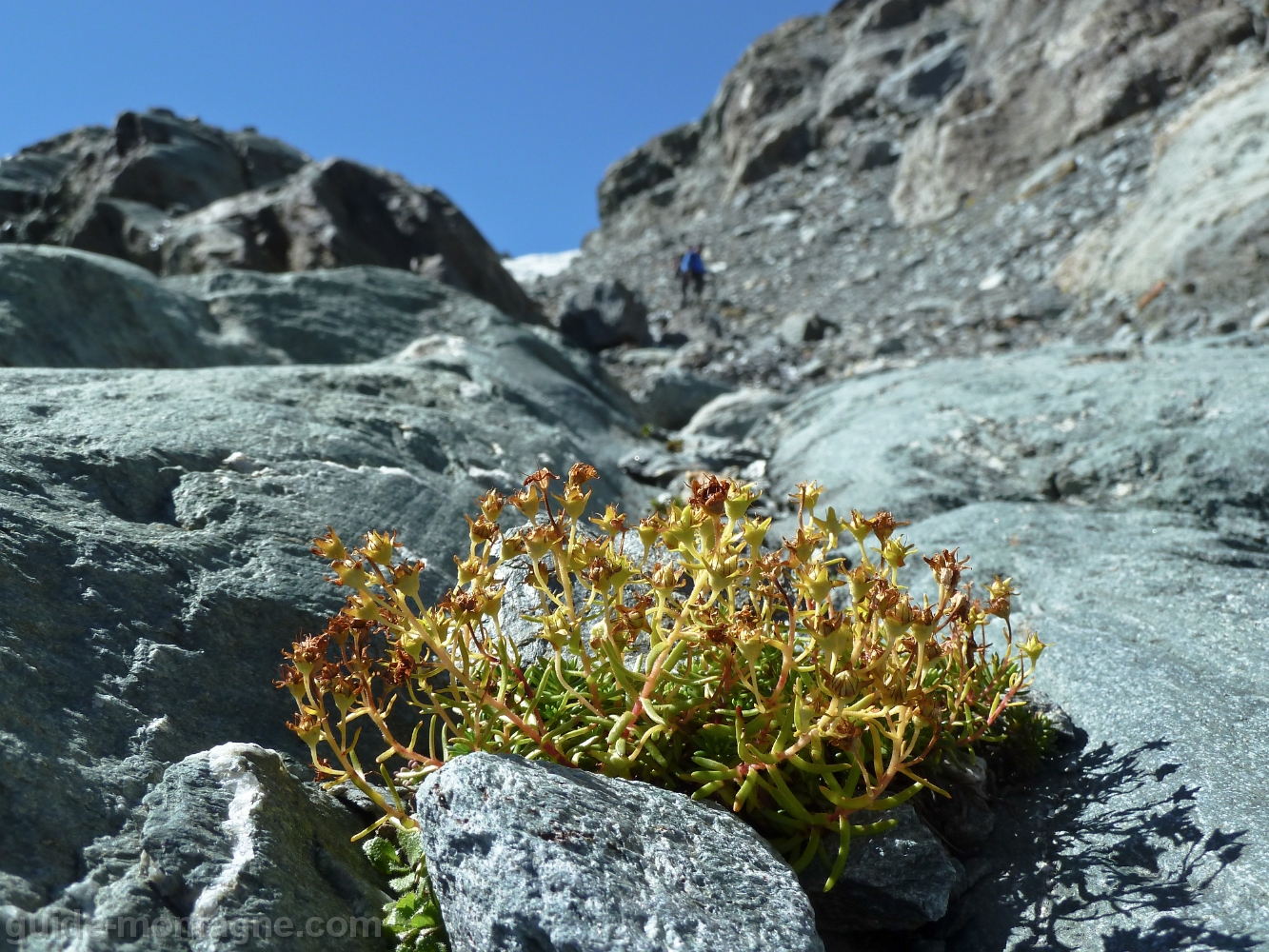 rando vanoise_10